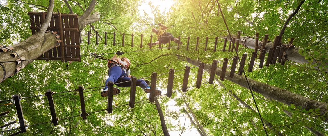 People climbing rope bridges in forest adventure park