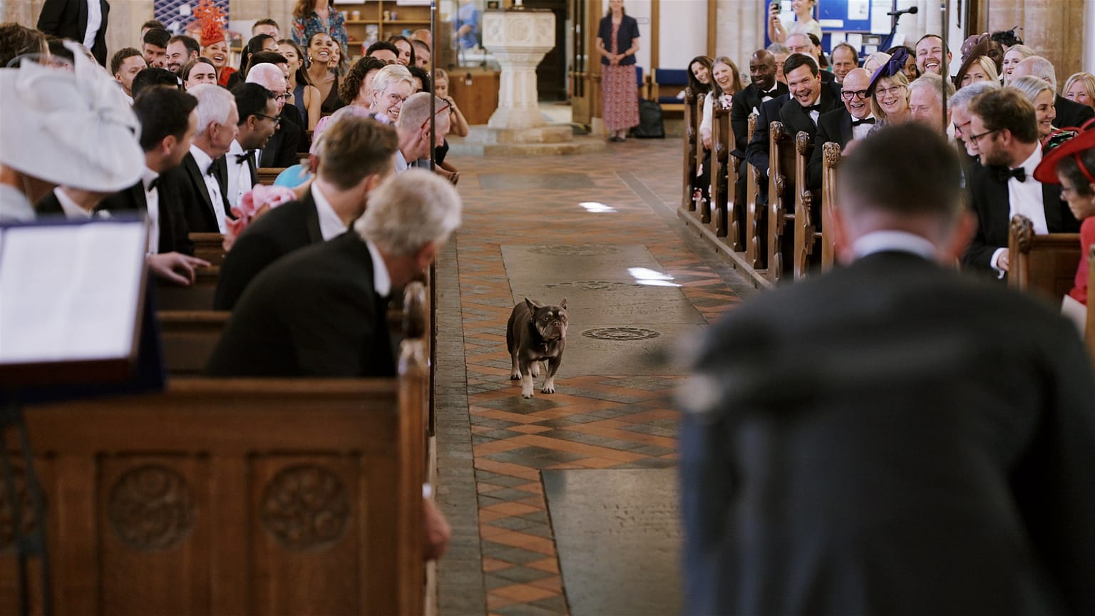 Dog walking down aisle during wedding ceremony.