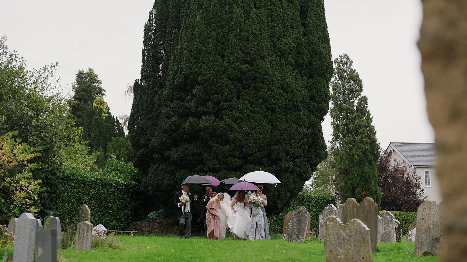 Wedding party walks in cemetery with umbrellas.