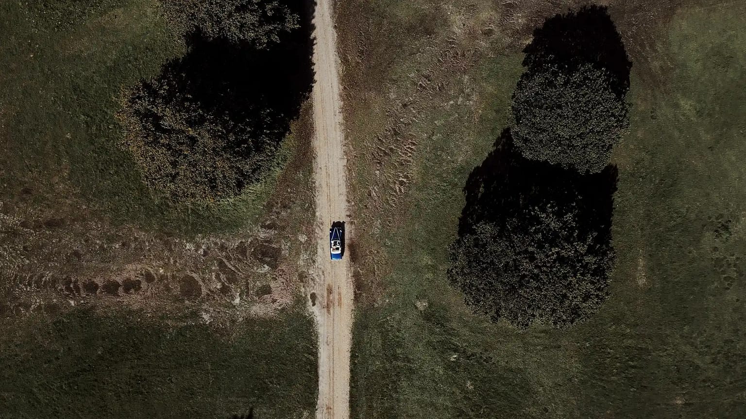 Car driving on a dirt road between trees.