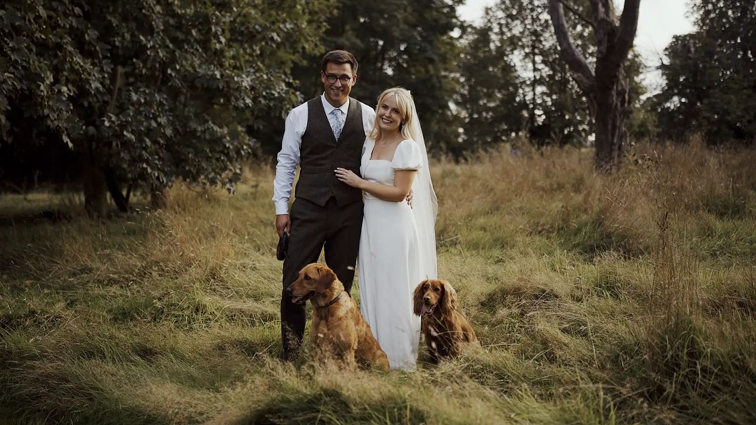 Outdoor wedding couple with two brown dogs