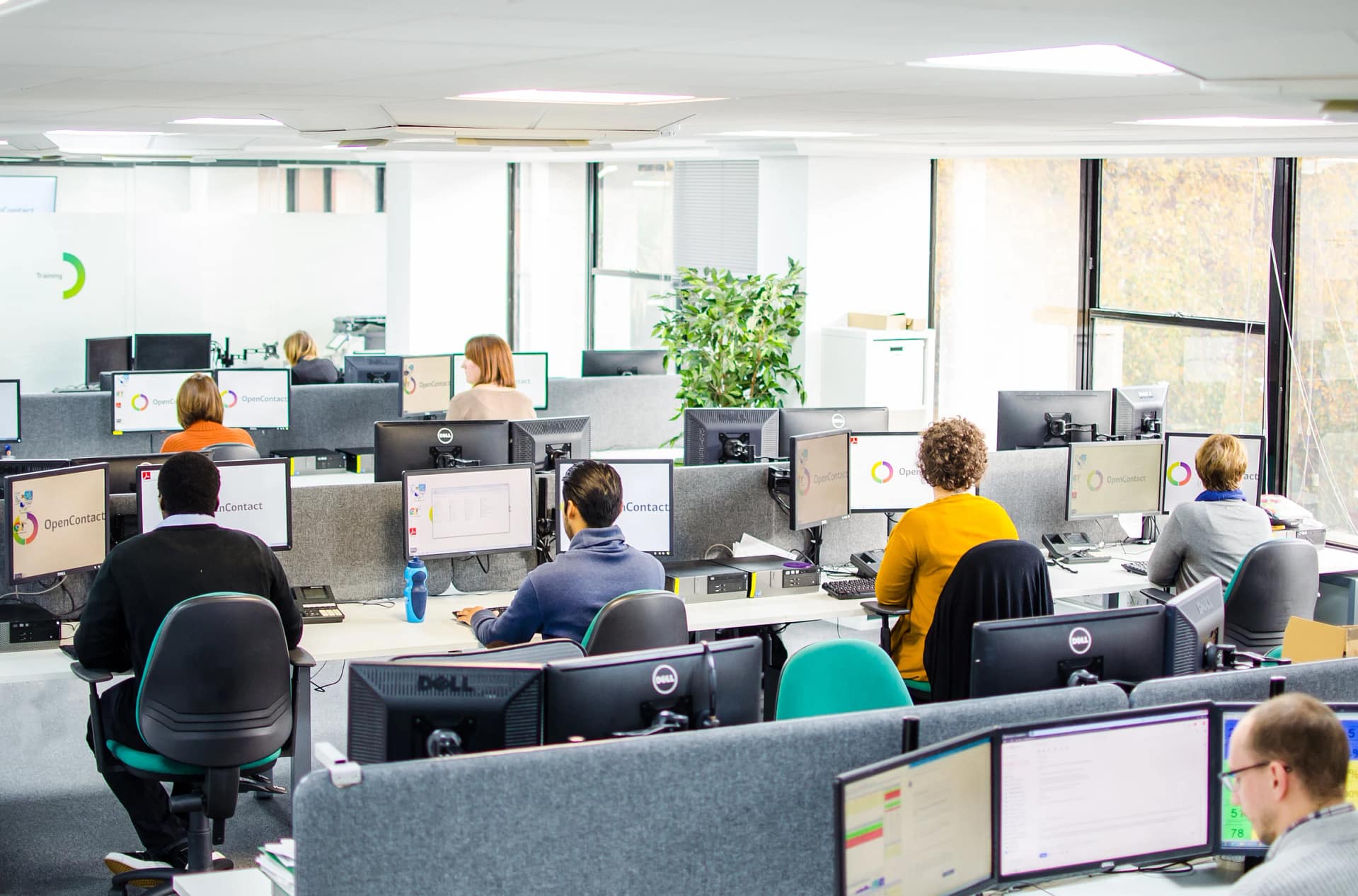Office employees working at computer desks