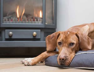 SIP Panel Extension dog by woodburner