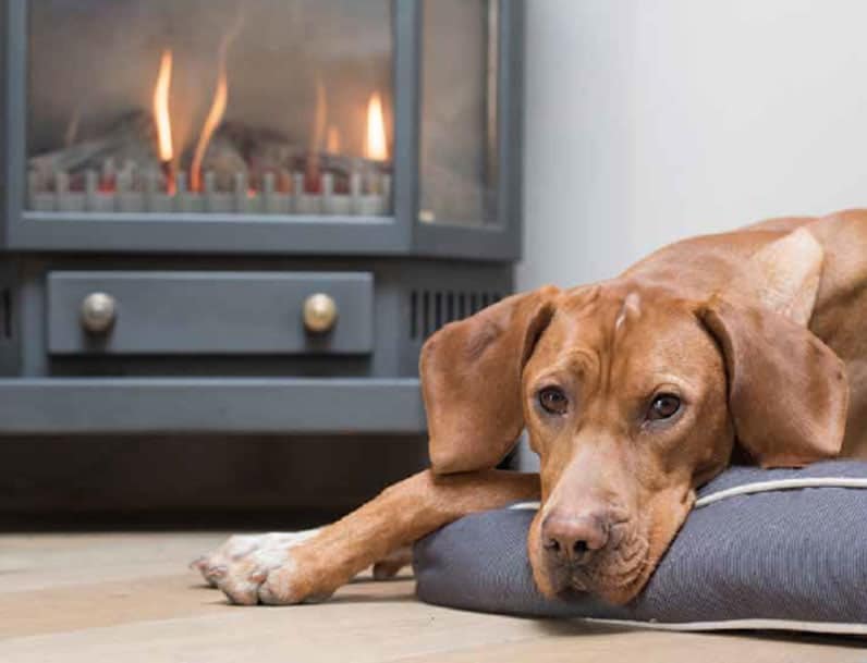 SIP Panel Extension dog by woodburner