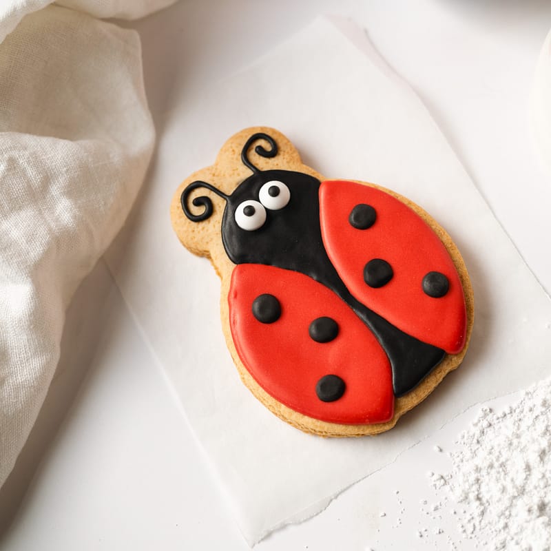 Ladybird-shaped biscuit with red icing
